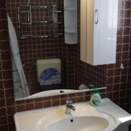 Vesna Apartament Maslinica